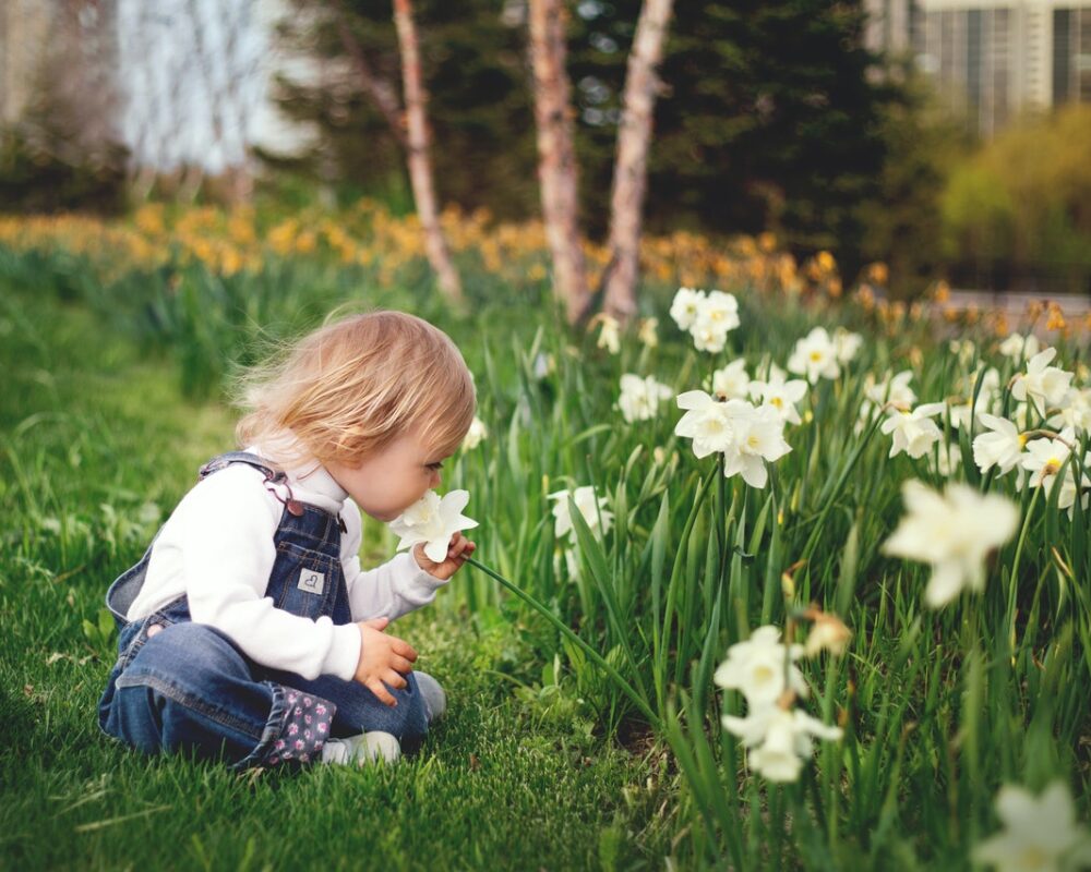 little-girl-smelling-flowers-in-calderstones-park