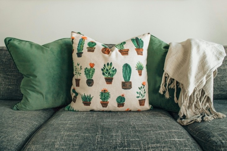 cute cactus cushions on sofa for staging